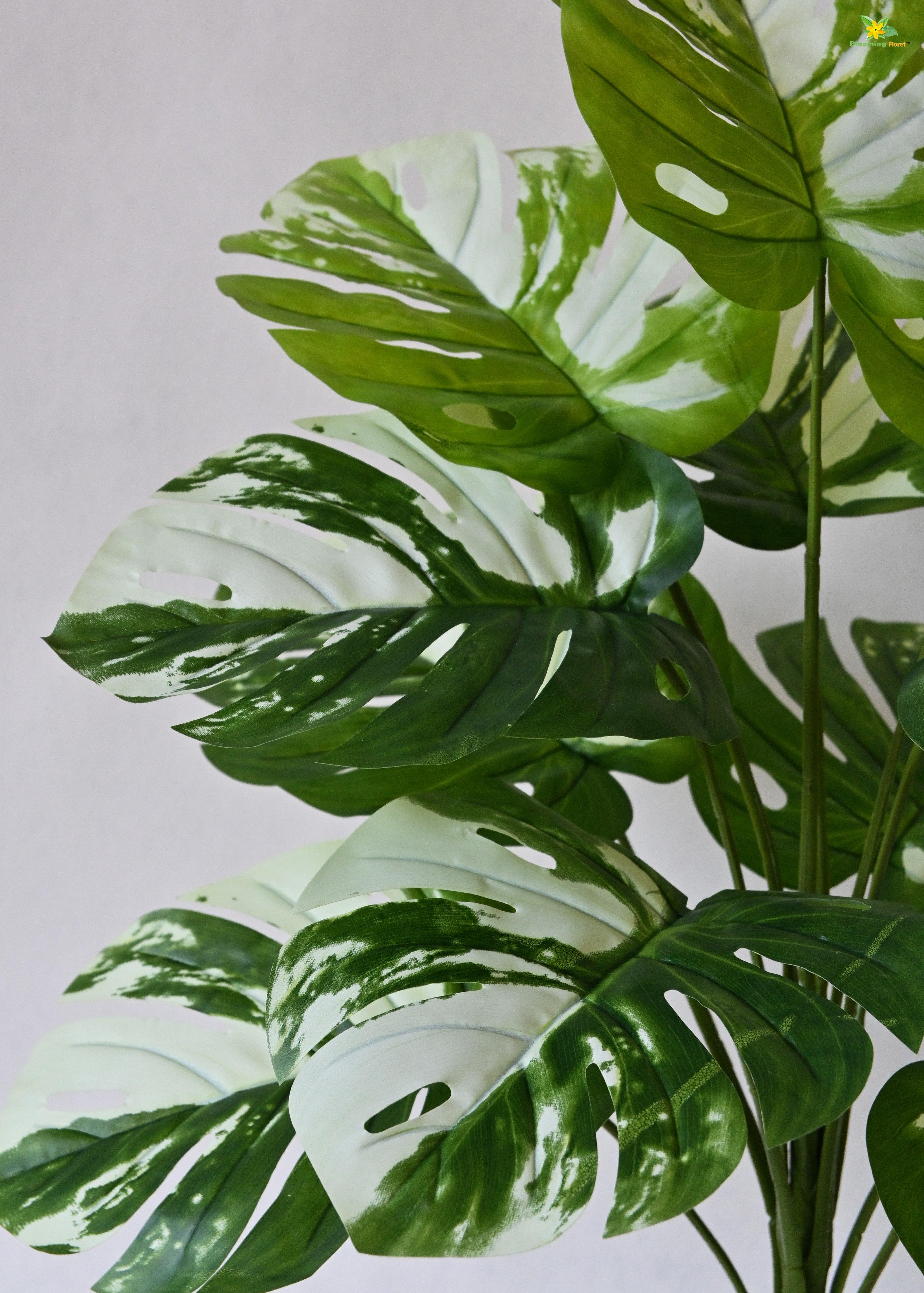 Artificial Monstera deliciosa Plant for Decor | 12 Leaves with Basic Pot | 78.7 cm