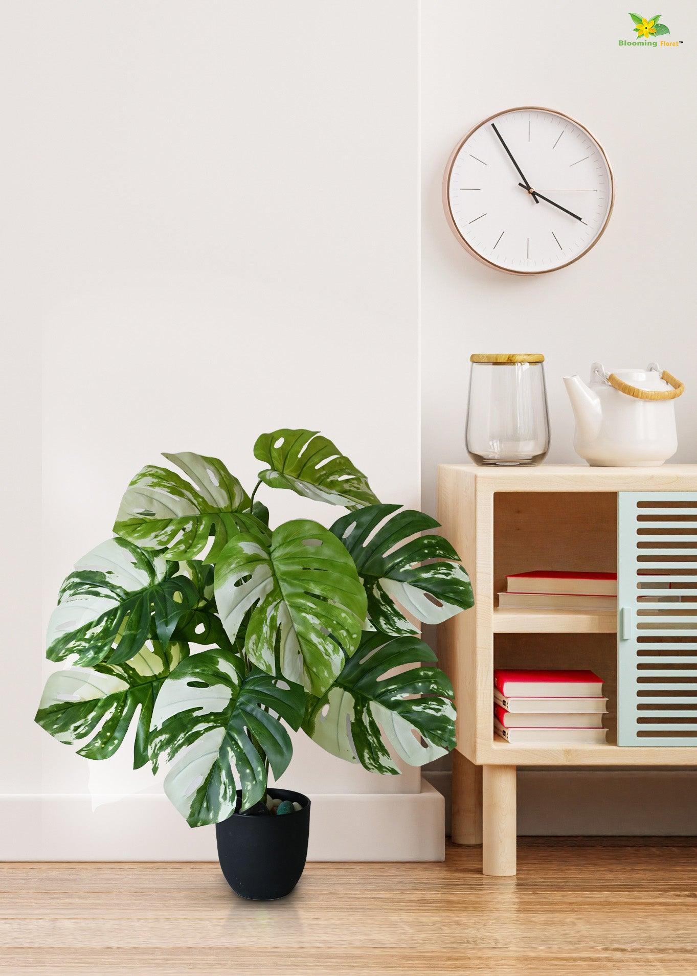 Artificial Monstera deliciosa Plant for Decor | 12 Leaves with Basic Pot | 78.7 cm