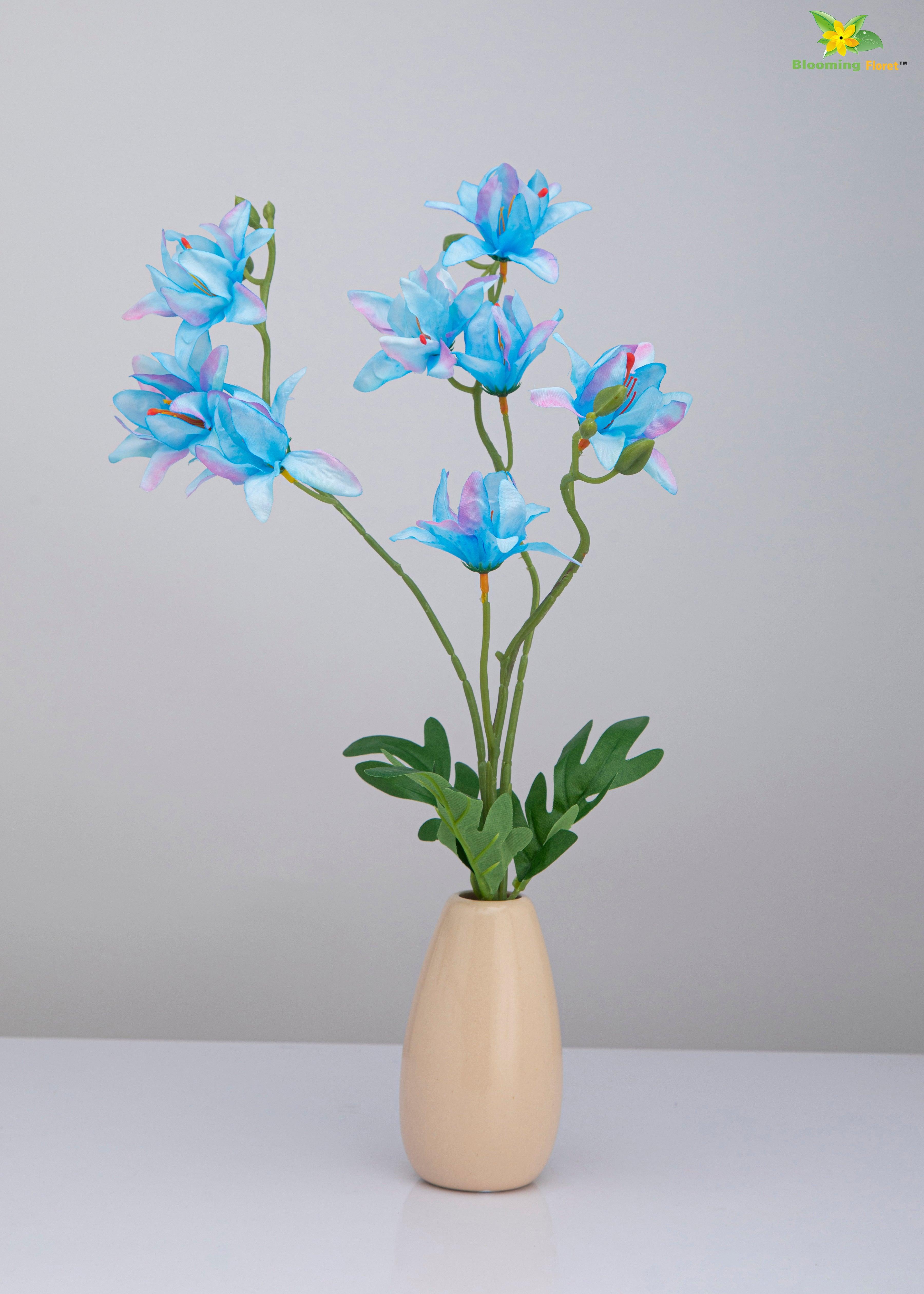 Vibrant Blooms Orchid Bauhinia Bunch