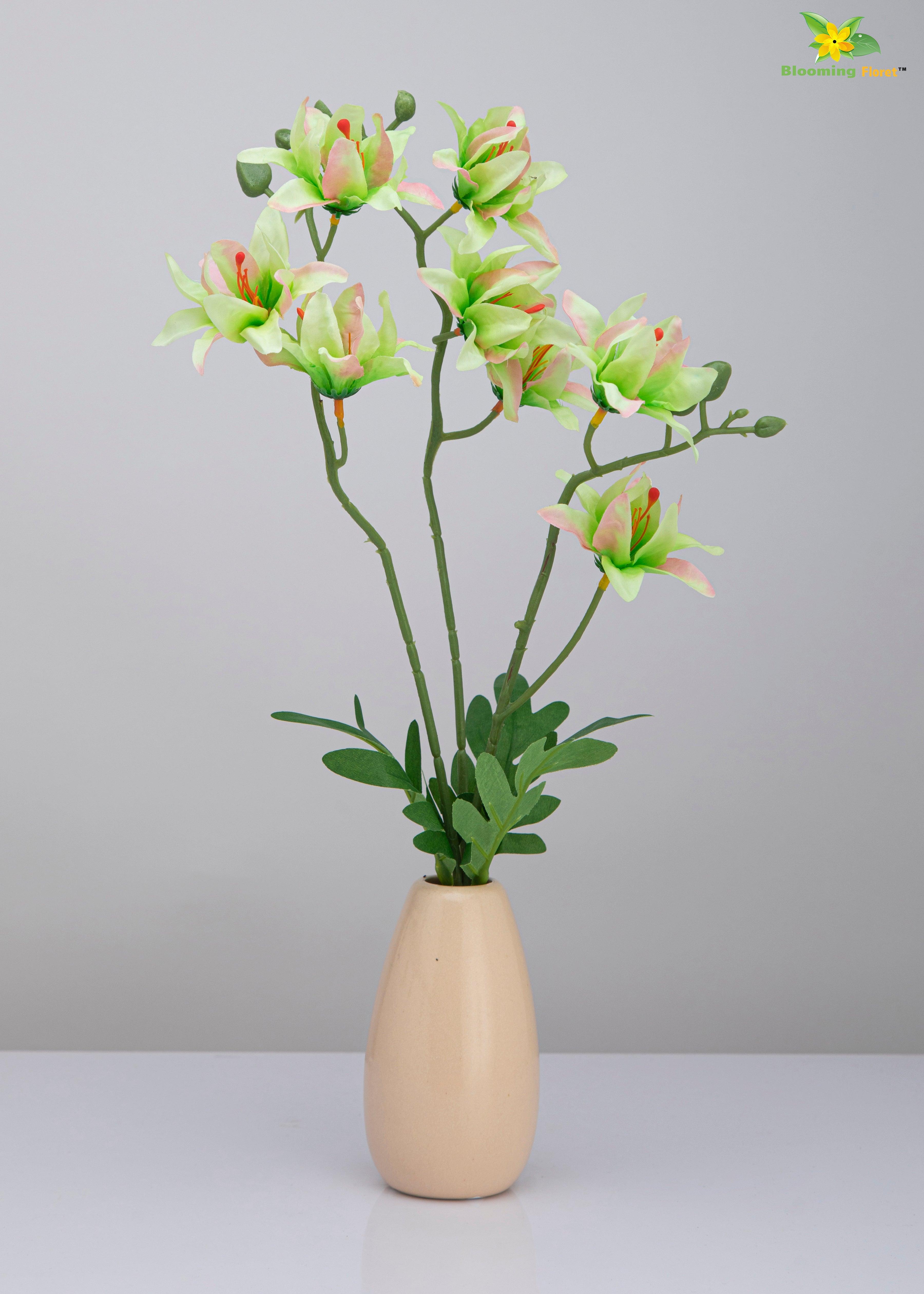 Vibrant Blooms Orchid Bauhinia Bunch