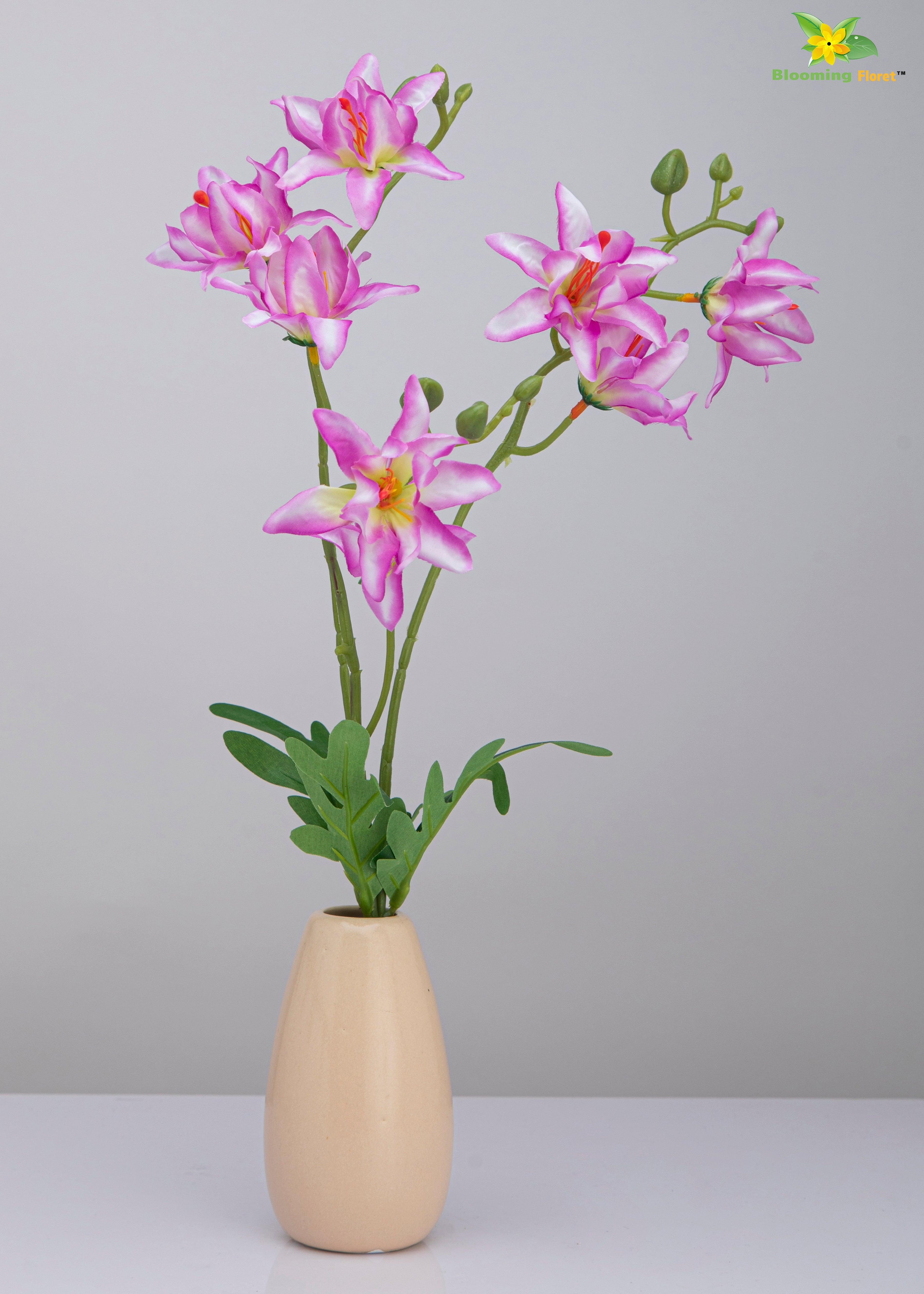 Vibrant Blooms Orchid Bauhinia Bunch