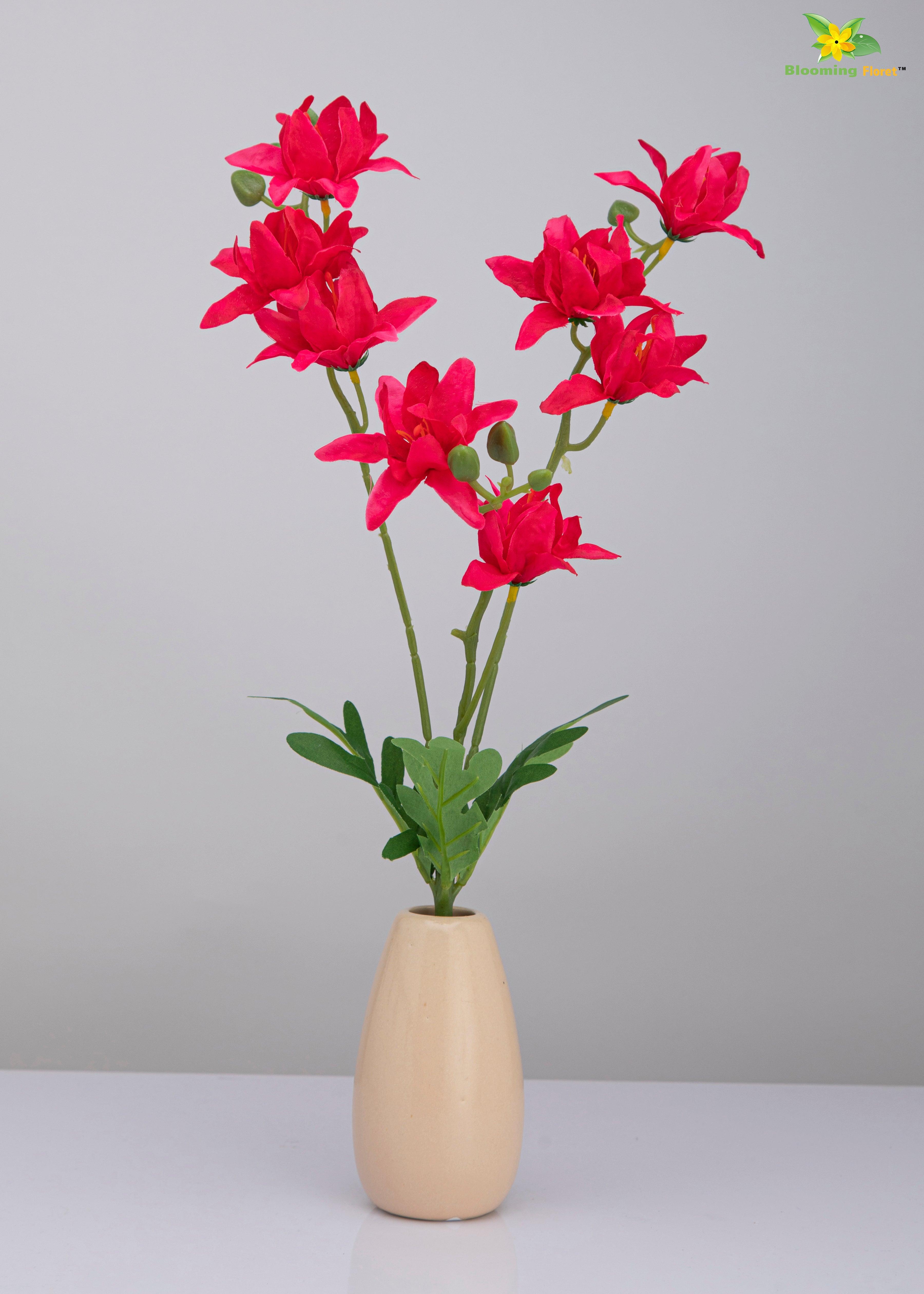 Vibrant Blooms Orchid Bauhinia Bunch