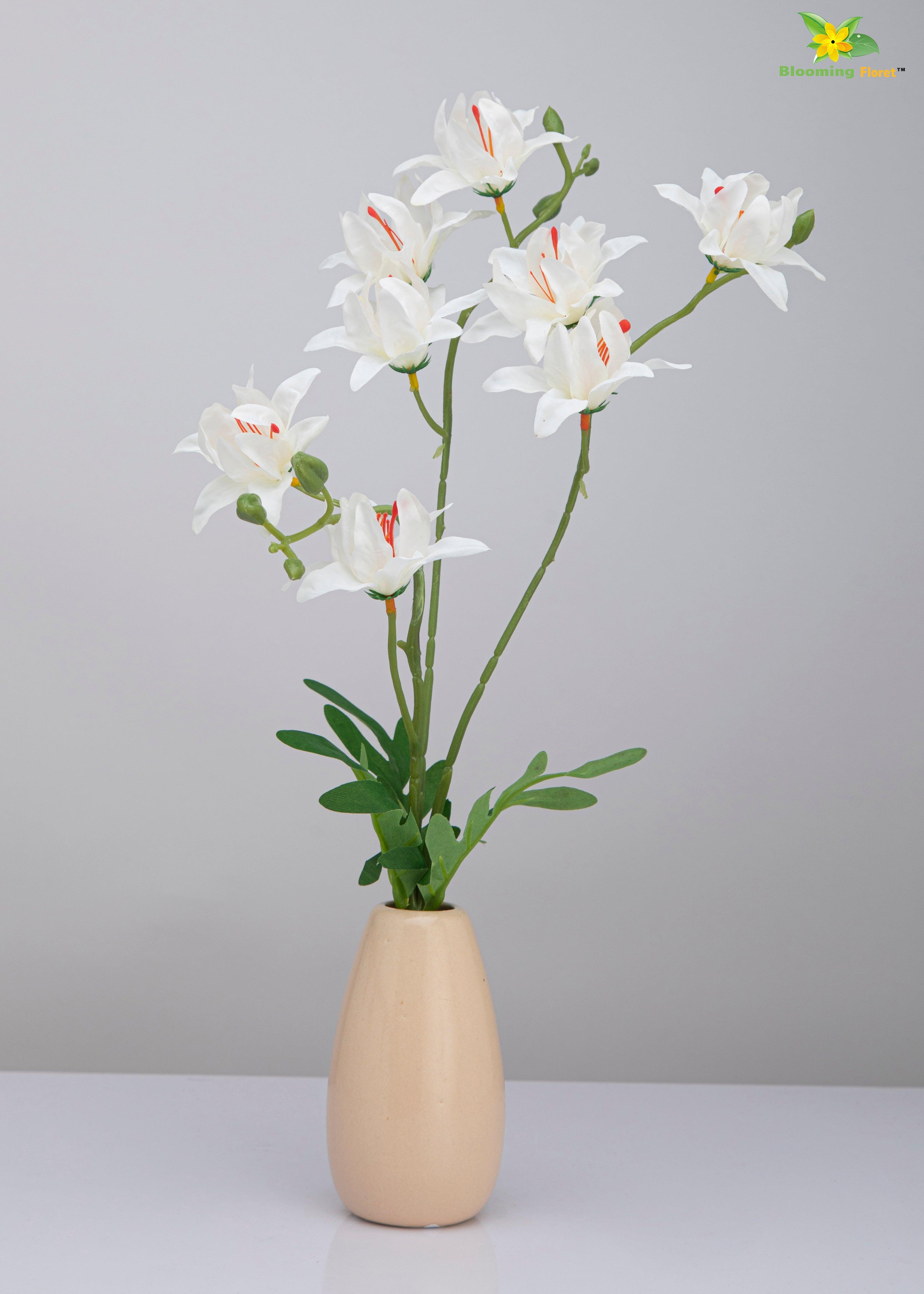 Vibrant Blooms Orchid Bauhinia Bunch