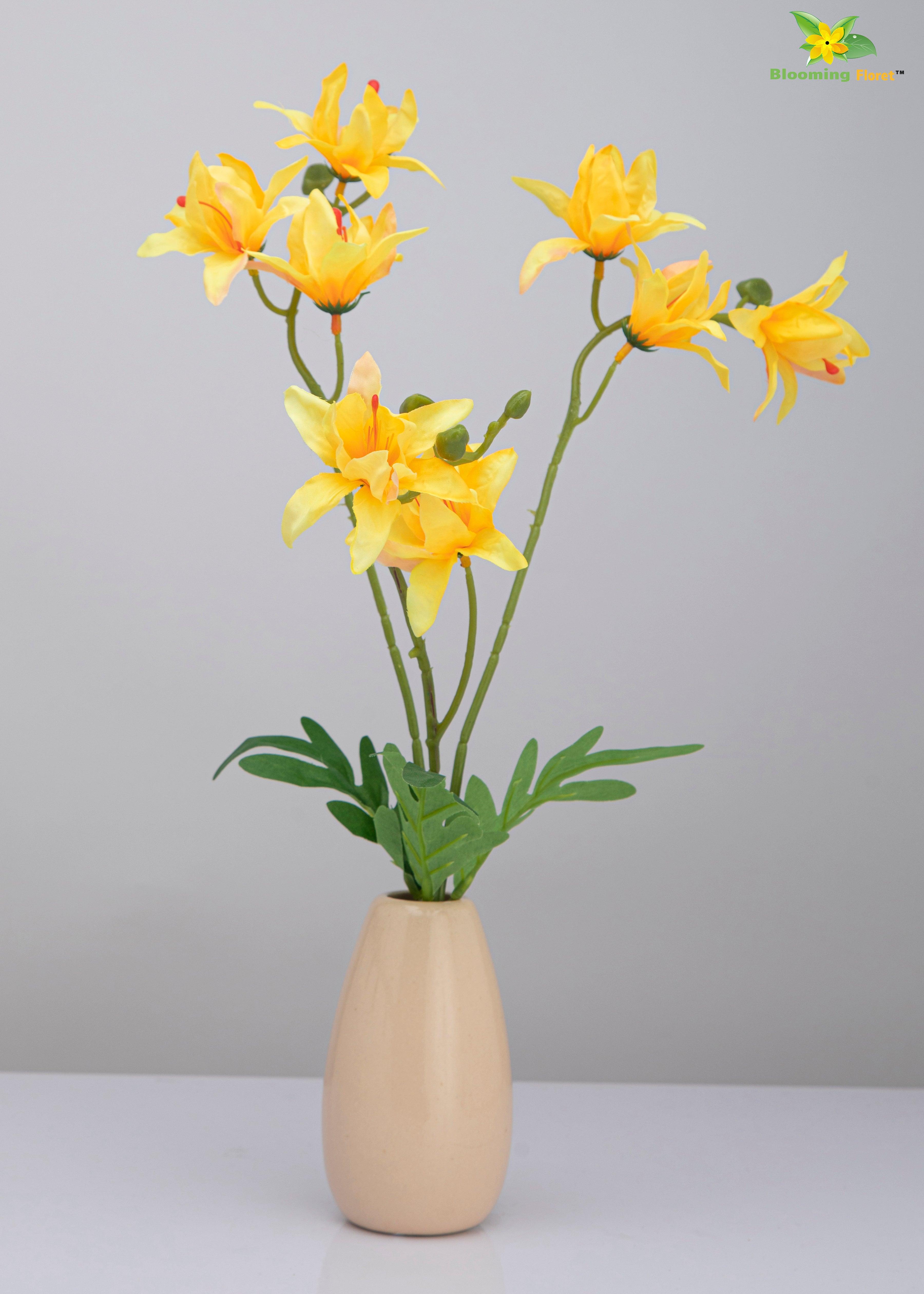 Vibrant Blooms Orchid Bauhinia Bunch